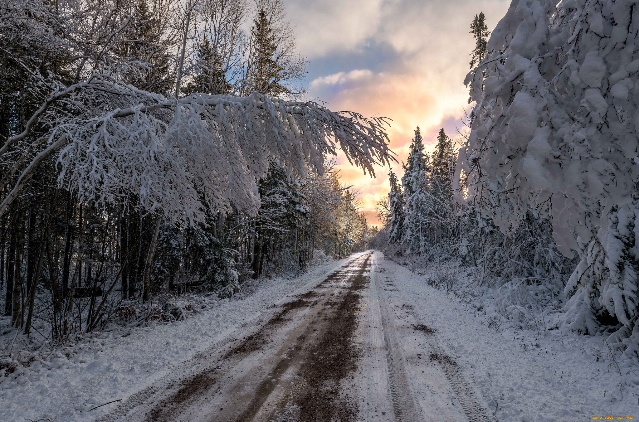 , , , , road, winter, trees, snow, 